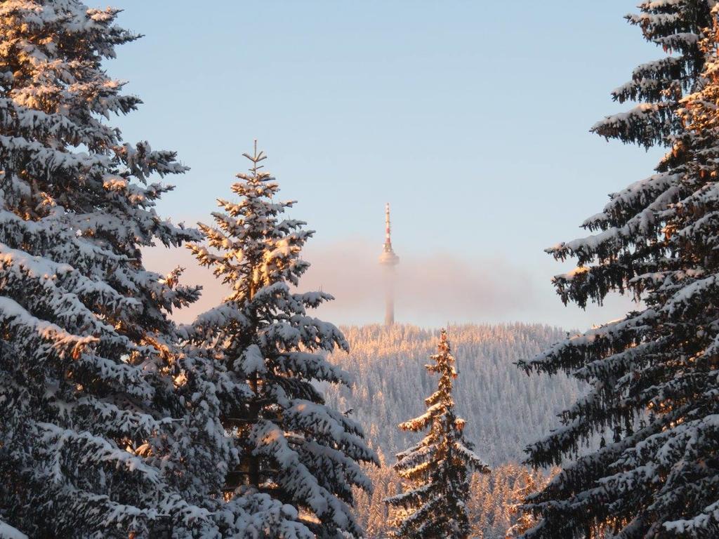 Elina Hotel Pamporovo Luaran gambar