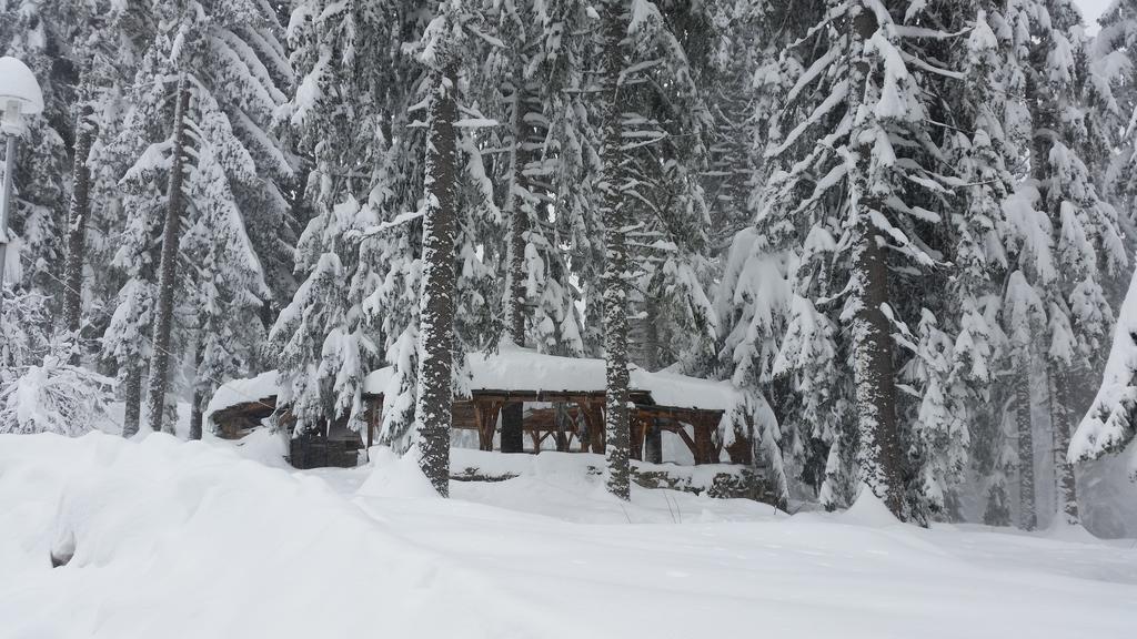 Elina Hotel Pamporovo Luaran gambar