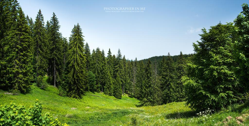 Elina Hotel Pamporovo Luaran gambar